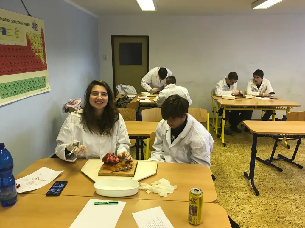 Archivní snímek 6 k článku „Projektový den pro 3. ročník BPČ - pitva prasečího srdce“ (2019-02-13).