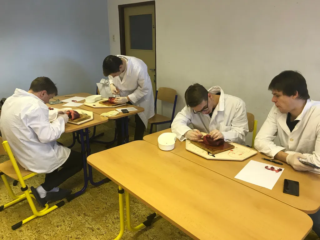 Archivní snímek 7 k článku „Projektový den pro 3. ročník BPČ - pitva prasečího srdce“ (2019-02-13).