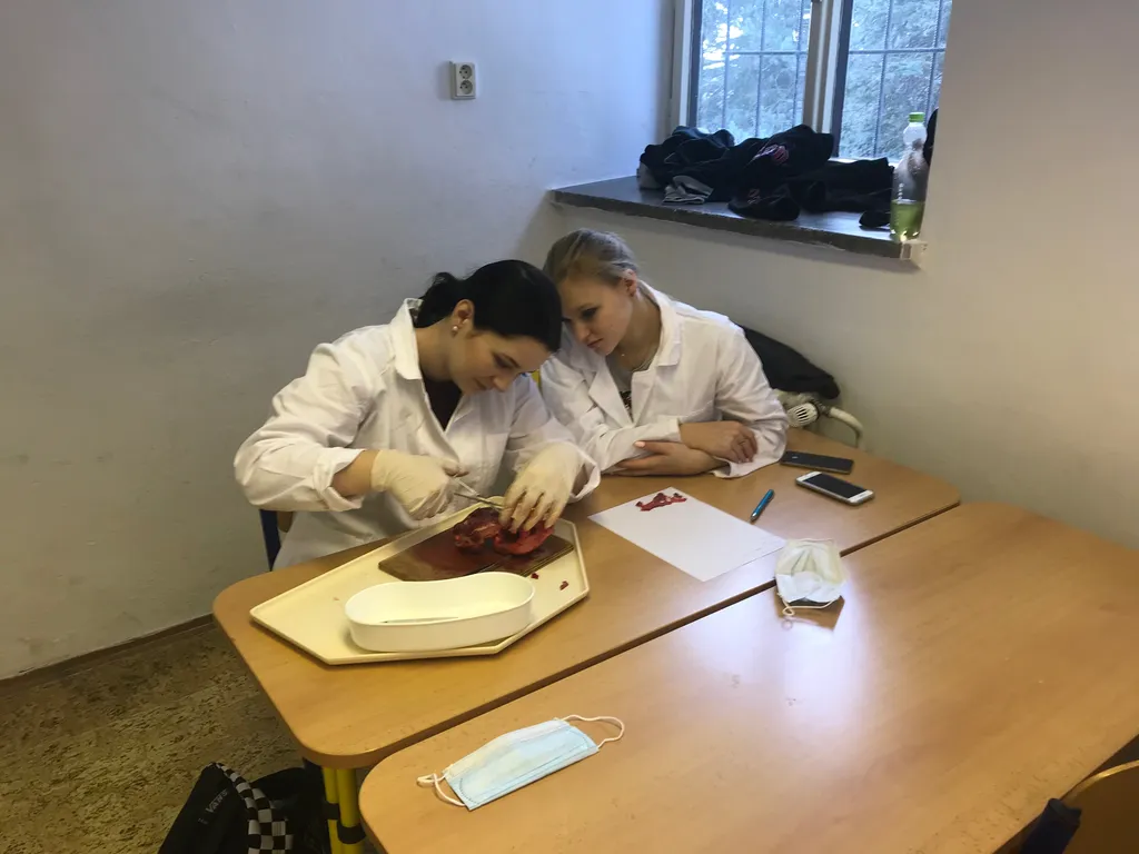 Archivní snímek 8 k článku „Projektový den pro 3. ročník BPČ - pitva prasečího srdce“ (2019-02-13).